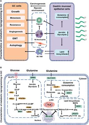 Metabolic Reprogramming in Gastric Cancer: Trojan Horse Effect